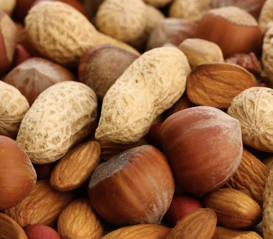 photo of assorted nuts