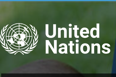 United Nations - logo